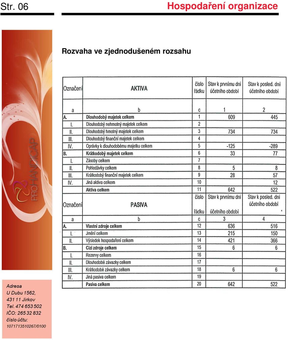 organizace