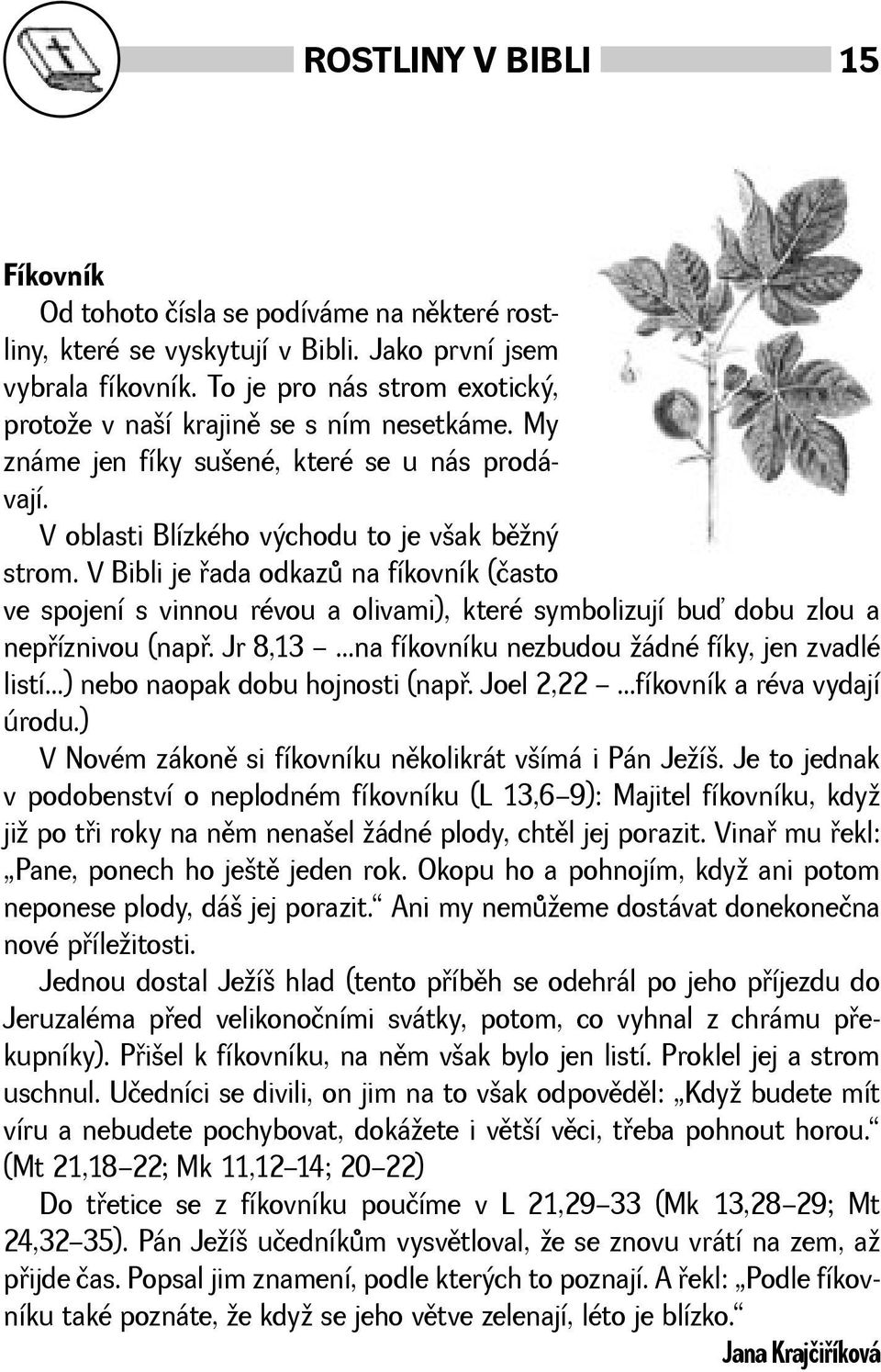 V Bibli je øada odkazù na fíkovník (často ve spojení s vinnou révou a olivami), které symbolizují buď dobu zlou a nepøíznivou (napø. Jr 8,13...na fíkovníku nezbudou ádné fíky, jen zvadlé listí.