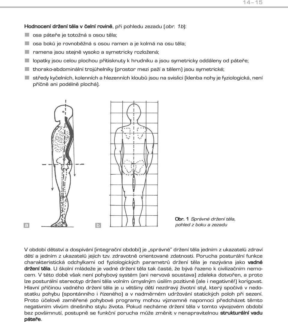 a jsou symetricky oddáleny od páteře; thorako-abdominální trojúhelníky (prostor mezi paží a tělem) jsou symetrické; středy kyčelních, kolenních a hlezenních kloubů jsou na svislici (klenba nohy je