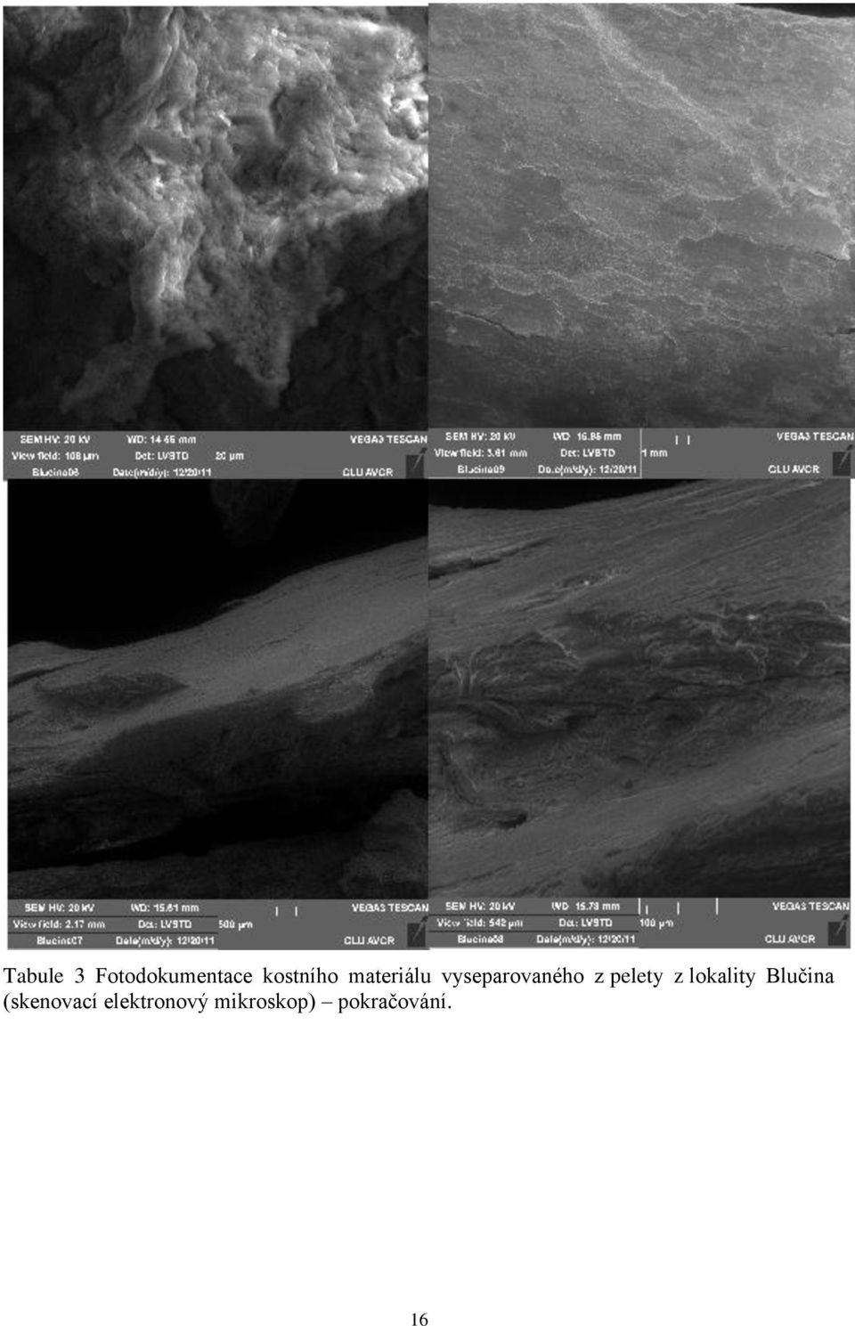 z lokality Blučina (skenovací