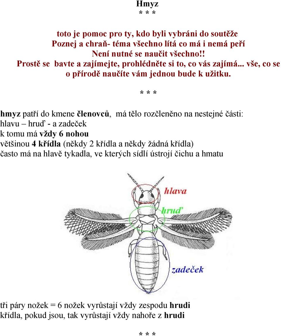 * * * hmyz patří do kmene členovců, má tělo rozčleněno na nestejné části: hlavu hruď - a zadeček k tomu má vždy 6 nohou většinou 4 křídla (někdy 2 křídla