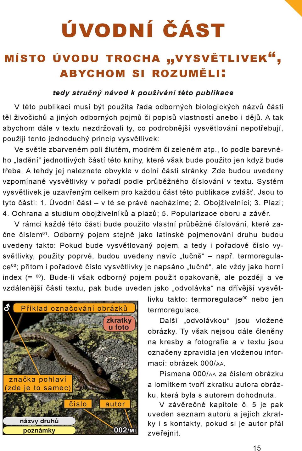 a tak abychom dále v textu nezdržovali ty, co podrobnější vysvětlování nepotřebují, použiji tento jednoduchý princip vysvětlivek: Ve světle zbarveném poli žlutém, modrém či zeleném atp.