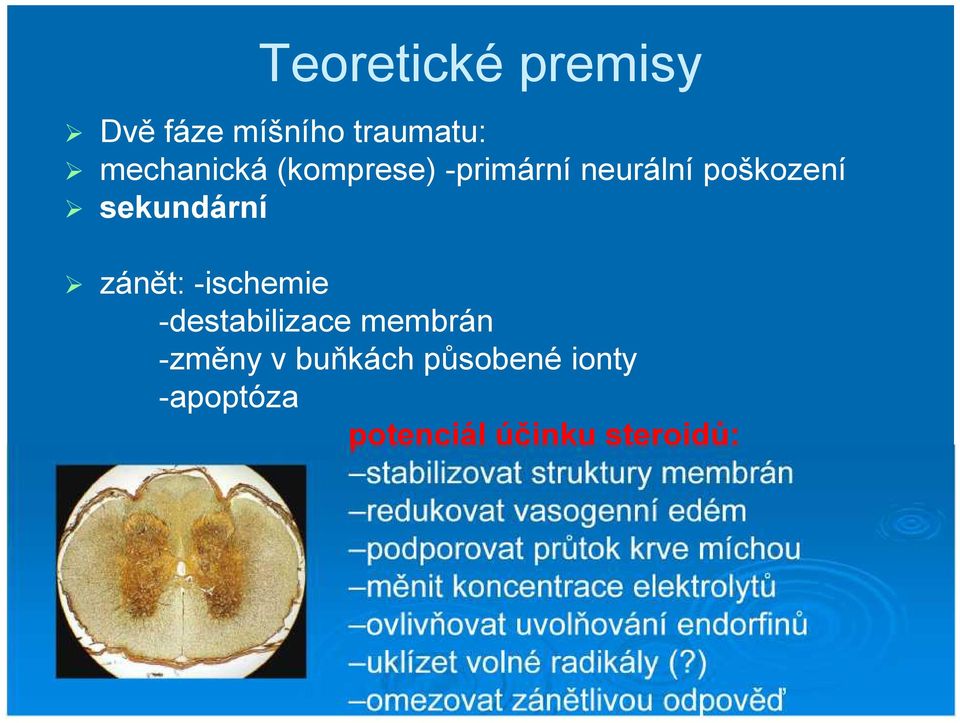 účinku steroidů: stabilizovat struktury membrán redukovat vasogenní edém podporovat průtok krve míchou