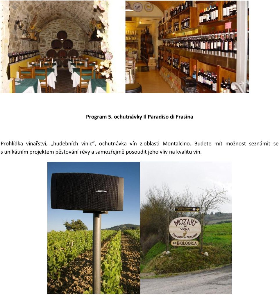 hudebních vinic, ochutnávka vín z oblasti Montalcino.