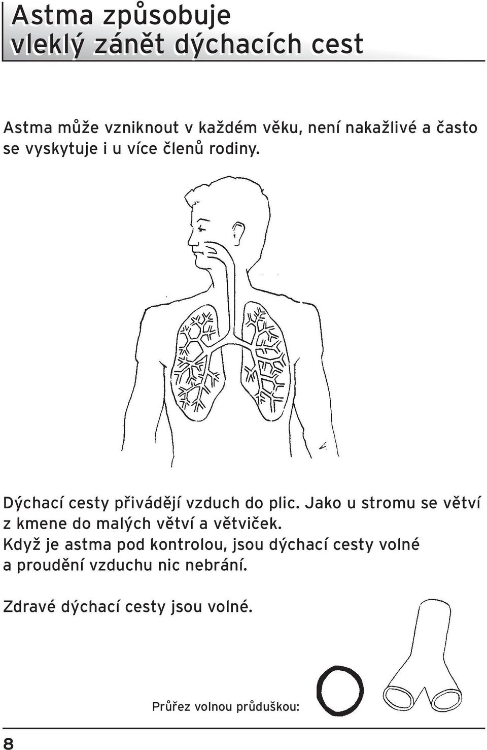 Jako u stromu se vûtví z kmene do mal ch vûtví a vûtviãek.