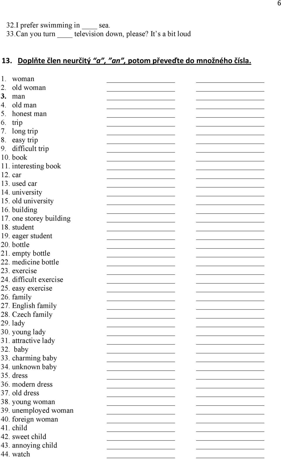 eager student 20. bottle 21. empty bottle 22. medicine bottle 23. exercise 24. difficult exercise 25. easy exercise 26. family 27. English family 28. Czech family 29. lady 30. young lady 31.