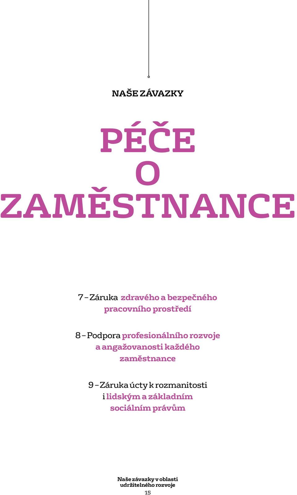 angažovanosti každého zaměstnance 9 Záruka úcty k rozmanitosti i