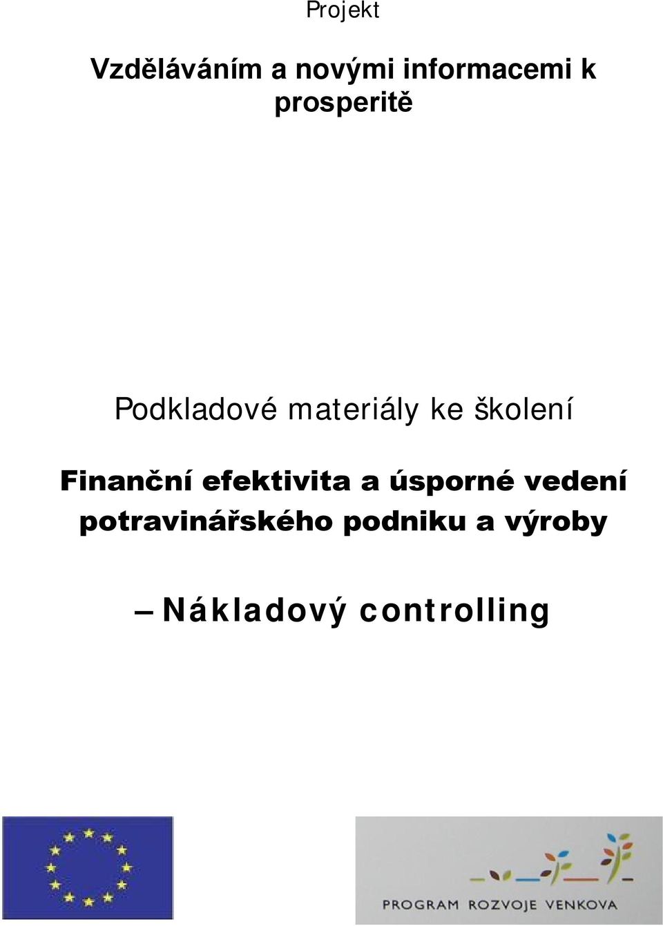 Finanční efektivita a úsporné vedení