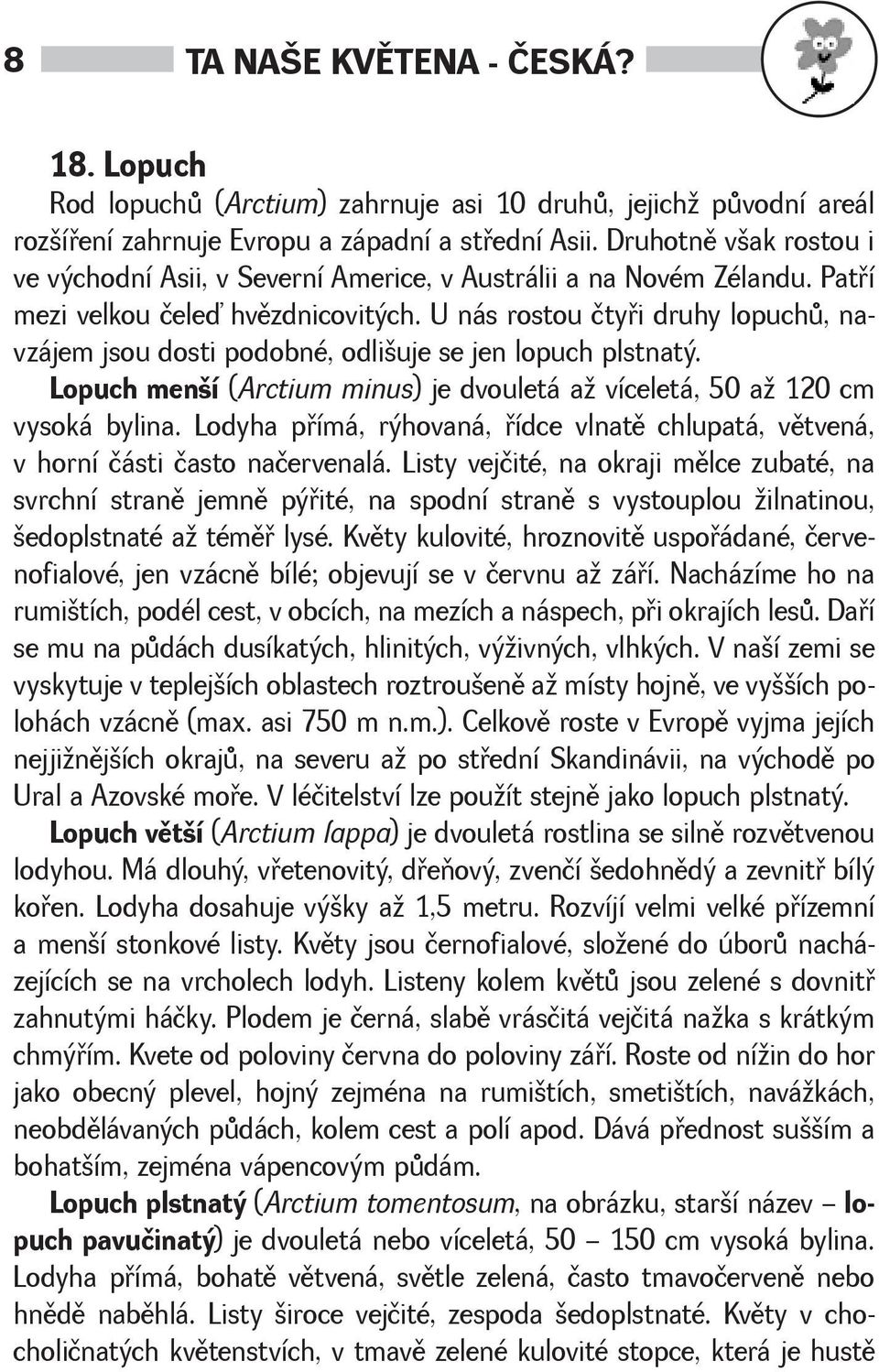 U nás rostou čtyøi druhy lopuchù, navzájem jsou dosti podobné, odliuje se jen lopuch plstnatý. Lopuch mení (Arctium minus) je dvouletá a víceletá, 50 a 120 cm vysoká bylina.