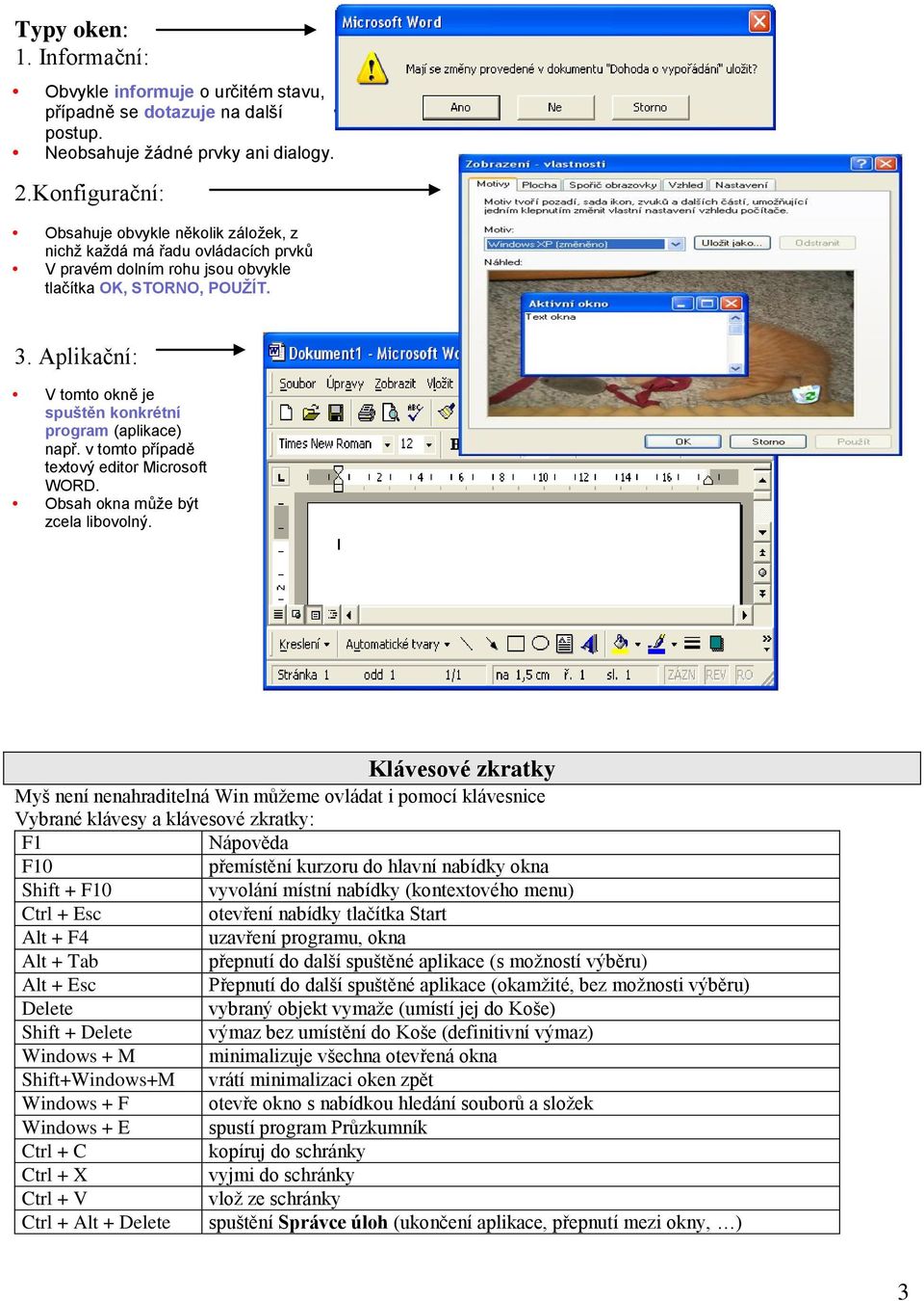 Aplikační: V tomto okně je spuštěn konkrétní program (aplikace) např. v tomto případě textový editor Microsoft WORD. Obsah okna může být zcela libovolný.