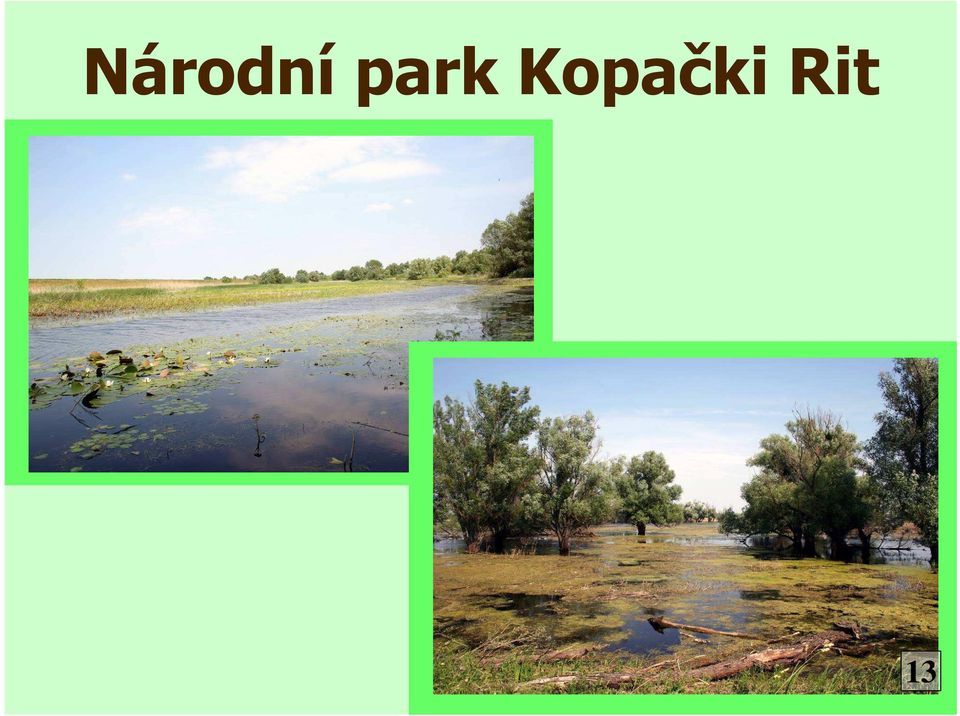 Kopački