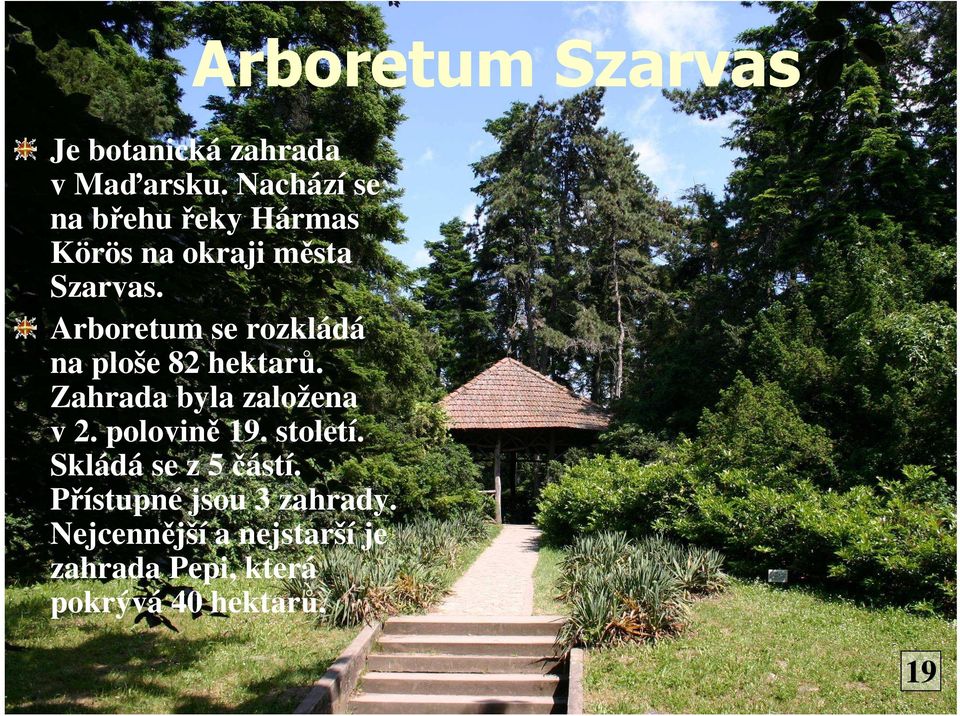 Arboretum se rozkládá na ploše 82 hektarů. Zahrada byla založena v 2.