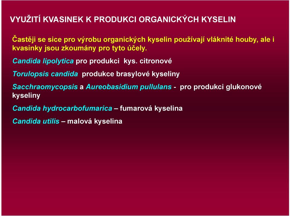 Candida lipolytica pro produkci kys.