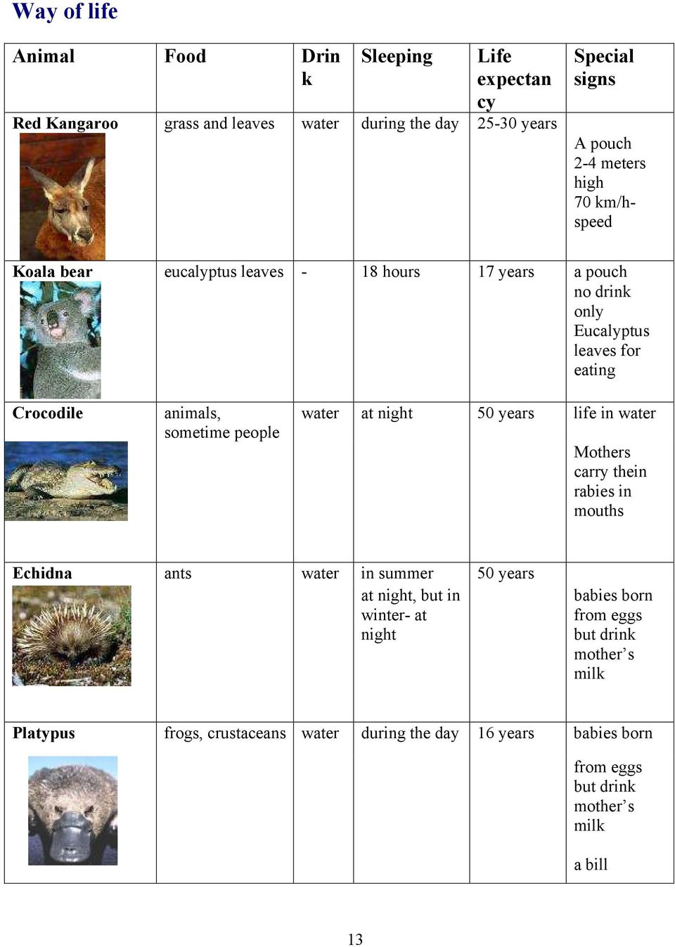 water at night 50 years life in water Mothers carry thein rabies in mouths Echidna ants water in summer 50 years at night, but in winter- at night