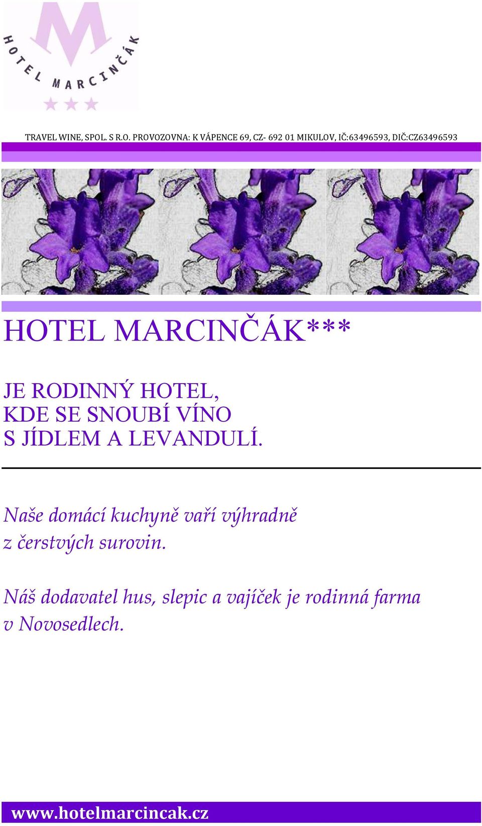 PROVOZOVNA: K VÁPENCE 69, CZ- 692 01 MIKULOV, IČ:63496593, DIČ:CZ63496593 HOTEL