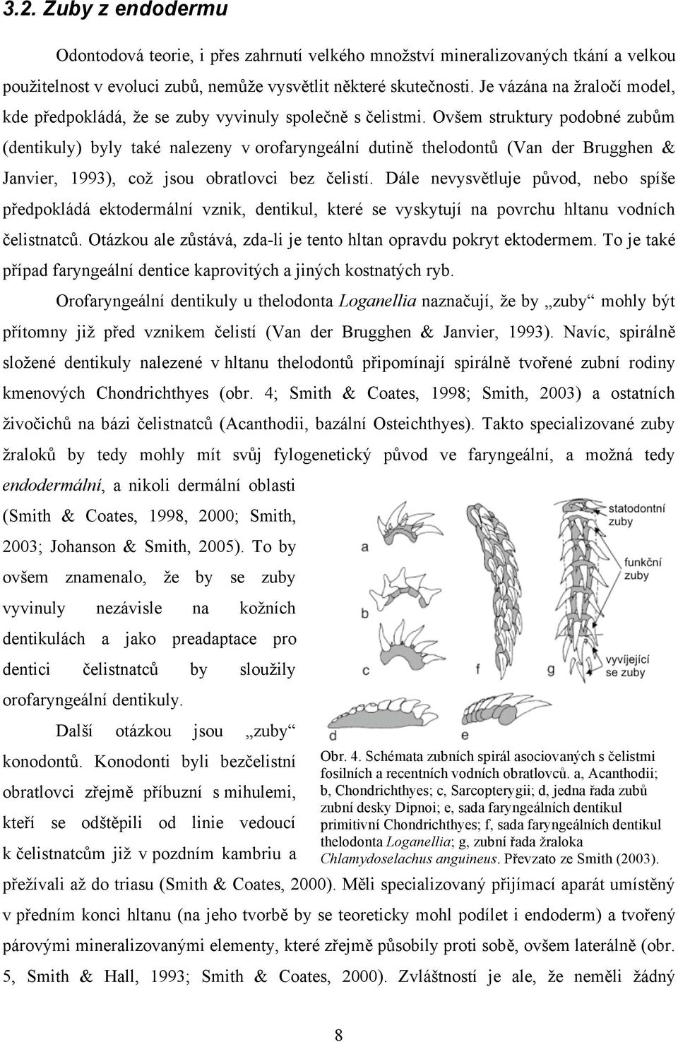 Ovšem struktury podobné zubům (dentikuly) byly také nalezeny v orofaryngeální dutině thelodontů (Van der Brugghen & Janvier, 1993), což jsou obratlovci bez čelistí.