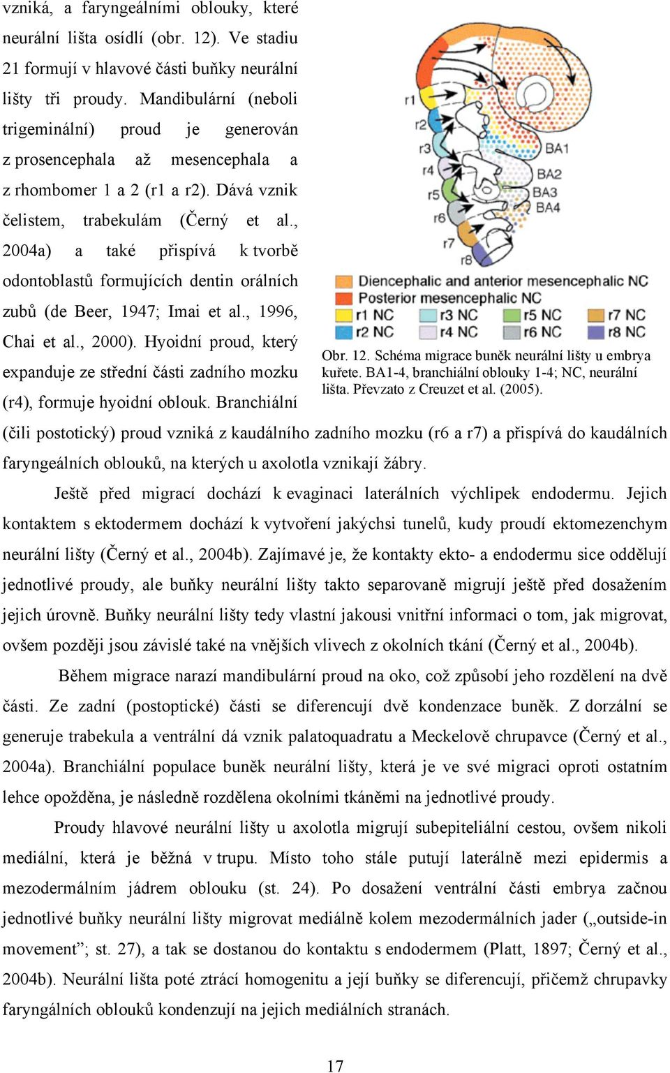 , 2004a) a také přispívá k tvorbě odontoblastů formujících dentin orálních zubů (de Beer, 1947; Imai et al., 1996, Chai et al., 2000).