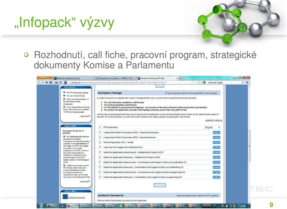 pracovní program,