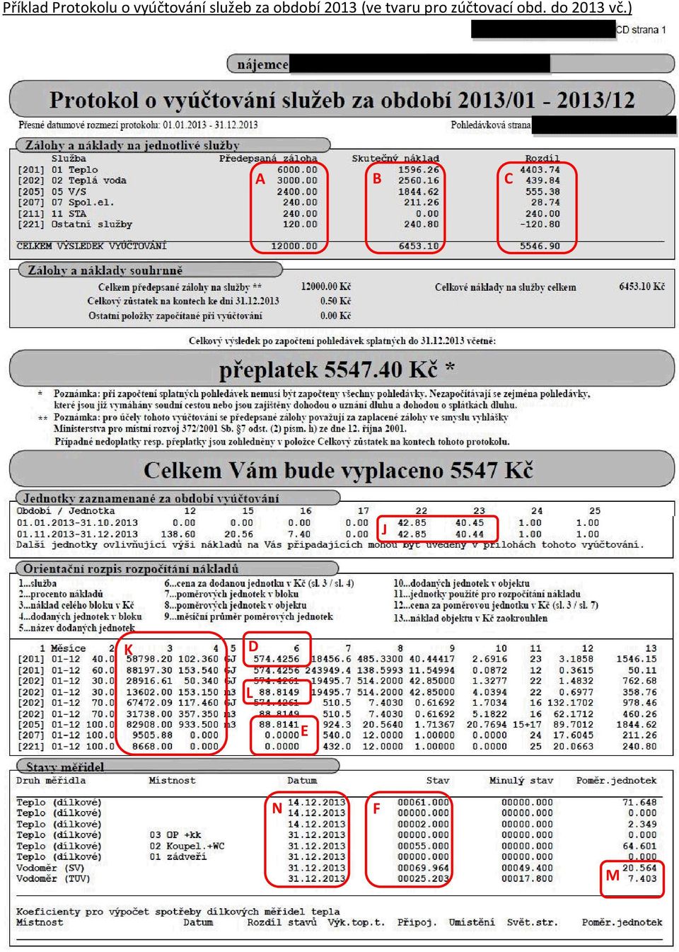 2013 (ve tvaru pro zúčtovací