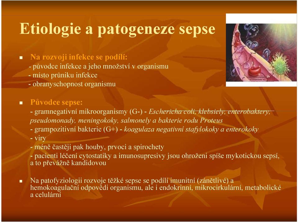 koagulaza negativní stafylokoky a enterokoky - viry - méně častěji pak houby, prvoci a spirochety - pacienti léčení cytostatiky a imunosupresivy jsou ohroženi spíše mykotickou