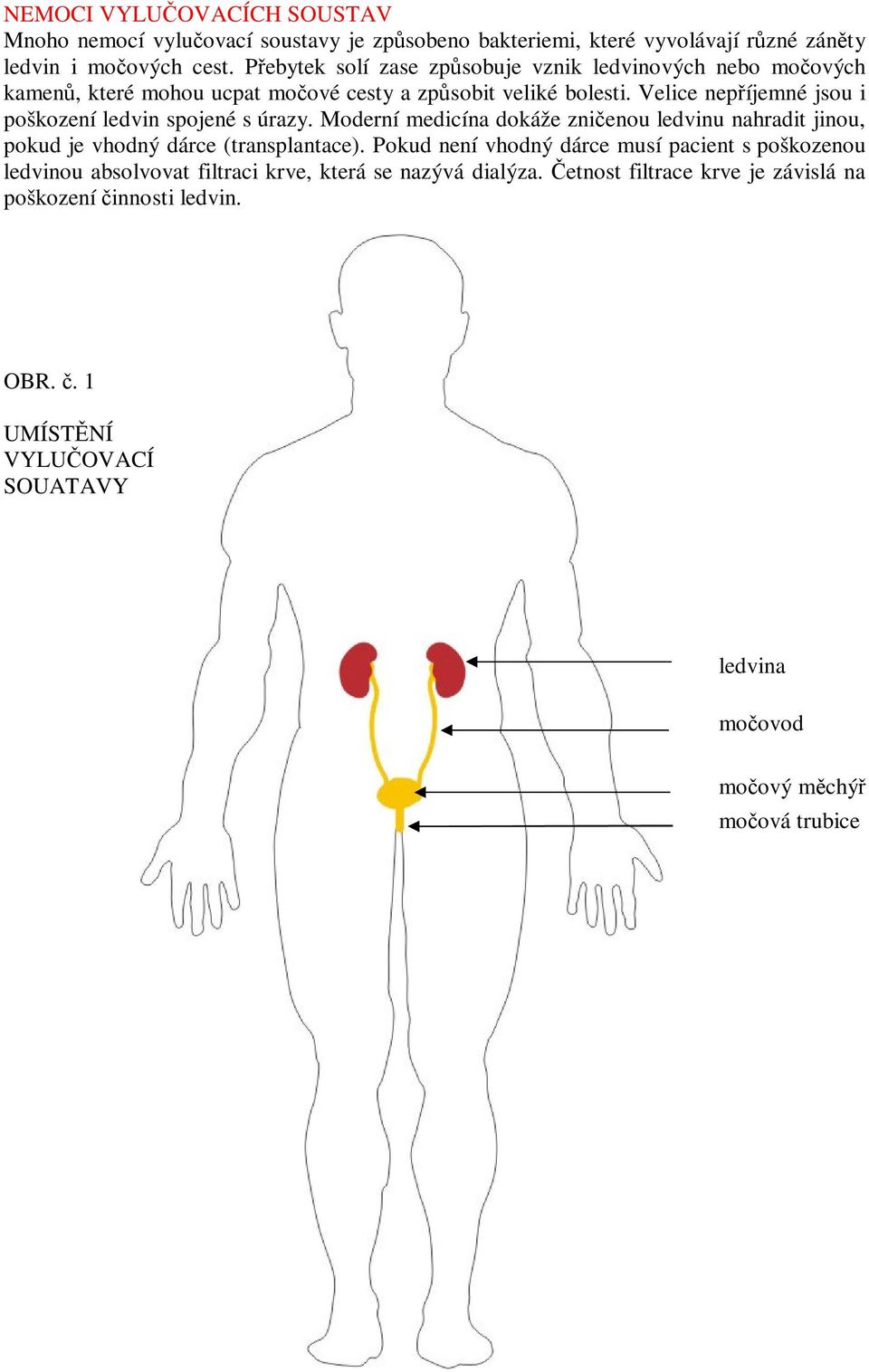 Velice nepíjemné jsou i poškození ledvin spojené s úrazy. Moderní medicína dokáže znienou ledvinu nahradit jinou, pokud je vhodný dárce (transplantace).