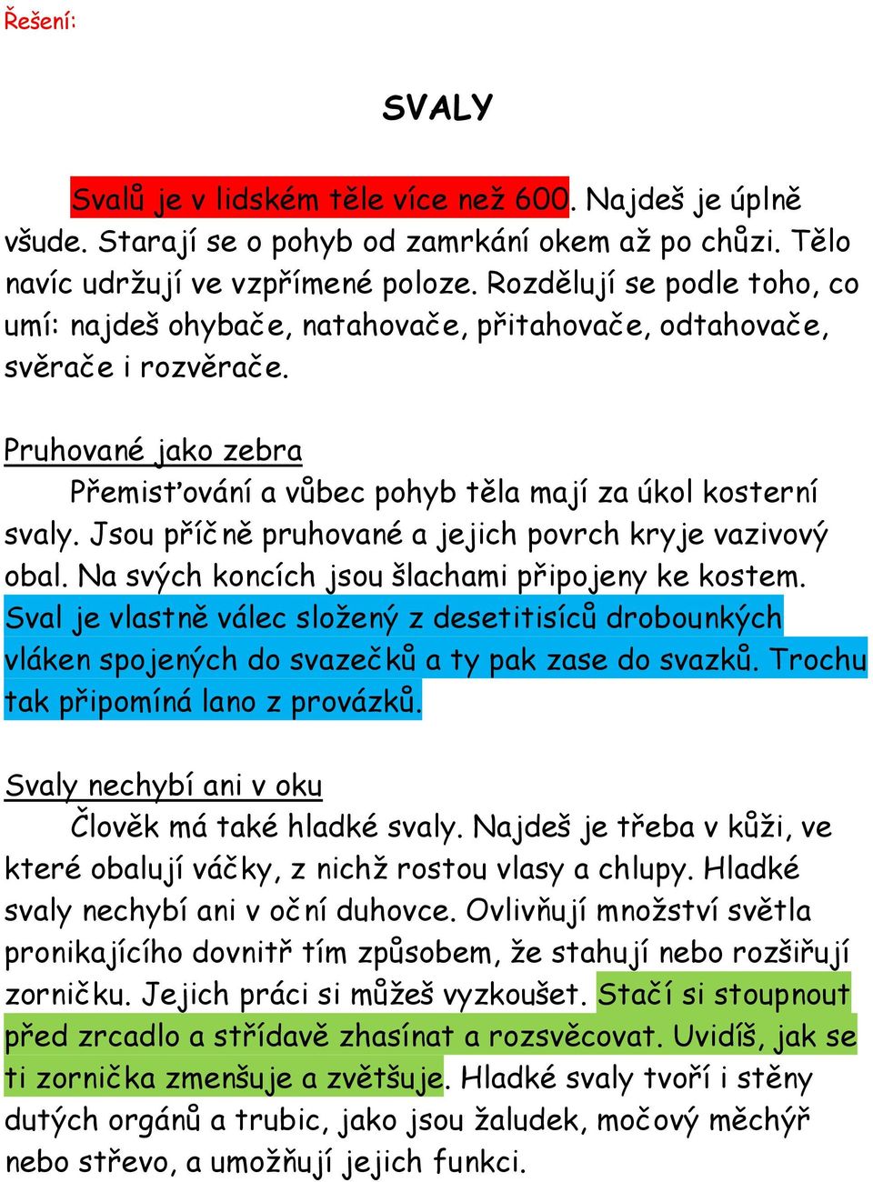 Jsou příčně pruhované a jejich povrch kryje vazivový obal. Na svých koncích jsou šlachami připojeny ke kostem.