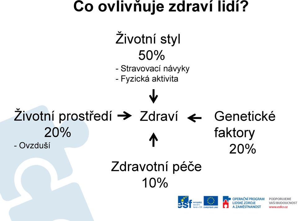 Fyzická aktivita Životní prostředí 20% -