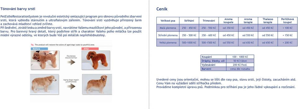 Pro barevný hravý detail, který podtrhne střih a charakter Vašeho psího miláčka lze použít módní výrazné odstíny, ve kterých bude Váš psí miláček nepřehlédnutelný.