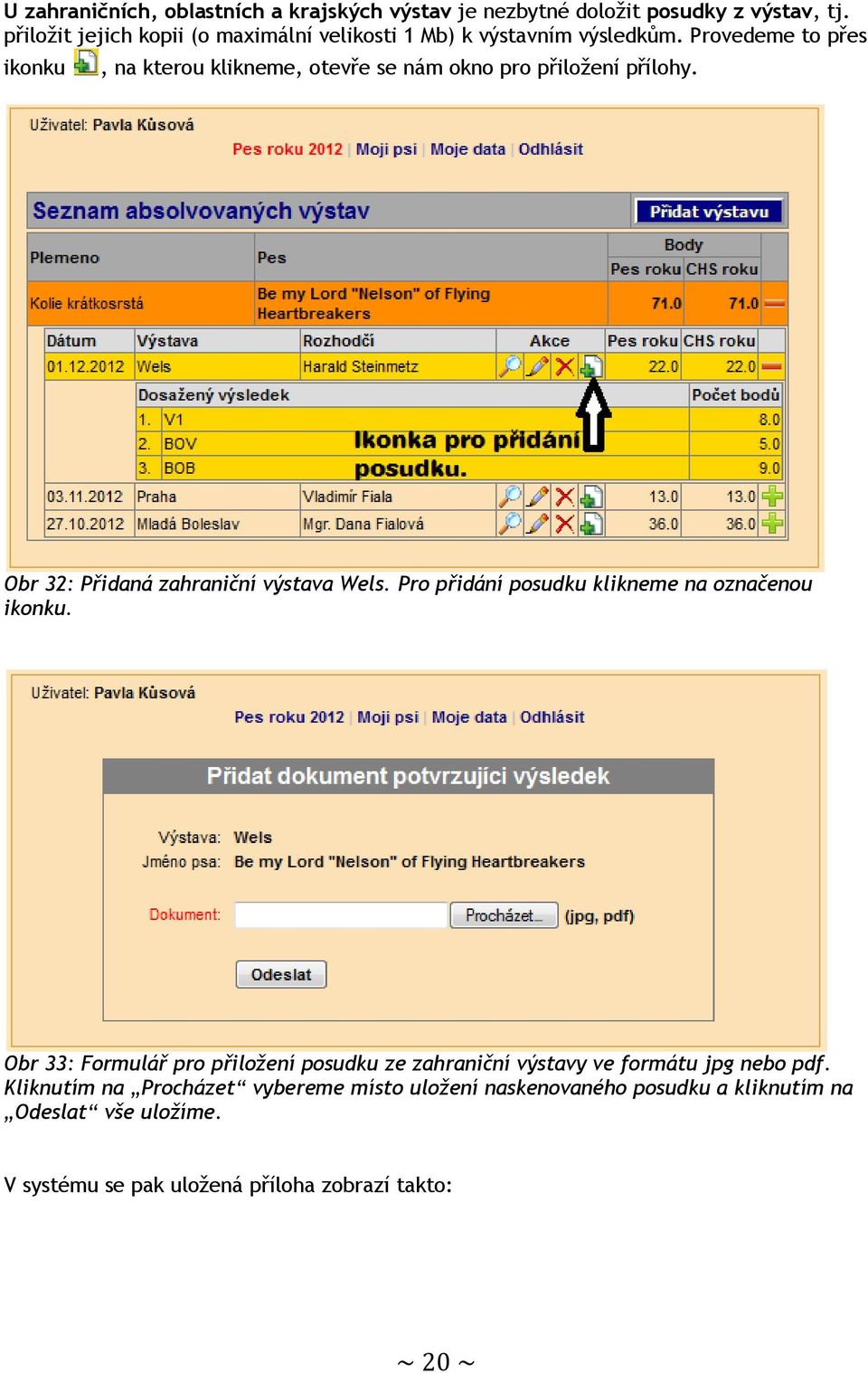 Provedeme to přes ikonku, na kterou klikneme, otevře se nám okno pro přiložení přílohy. Obr 32: Přidaná zahraniční výstava Wels.