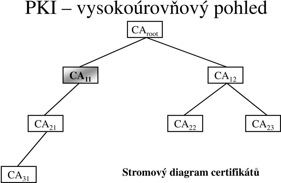 12 CA 21 CA 22 CA 23 CA