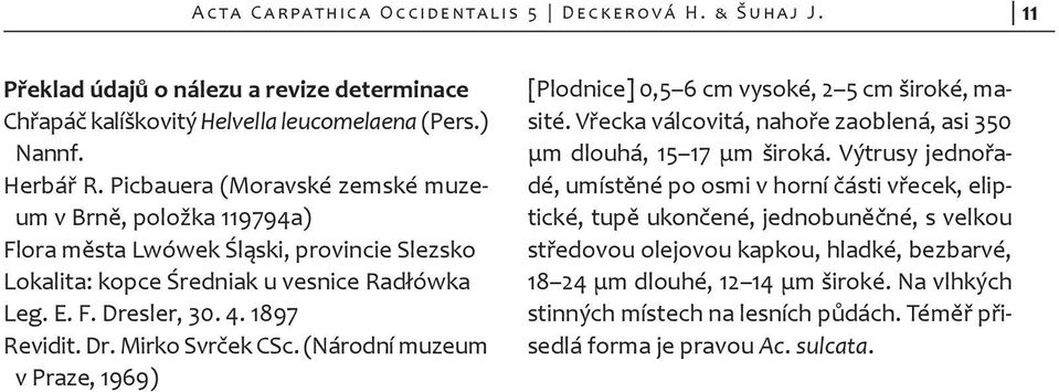 (Národní muzeum v Praze, 1969) [Plodnice] 0,5 6 cm vysoké, 2 5 cm široké, masité. Vřecka válcovitá, nahoře zaoblená, asi 350 μm dlouhá, 15 17 μm široká.