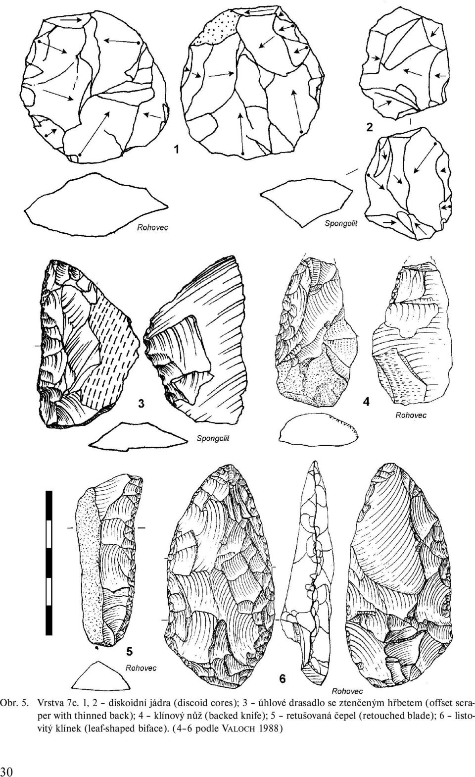 ztenčeným hřbetem (offset scraper with thinned back); 4 klínový