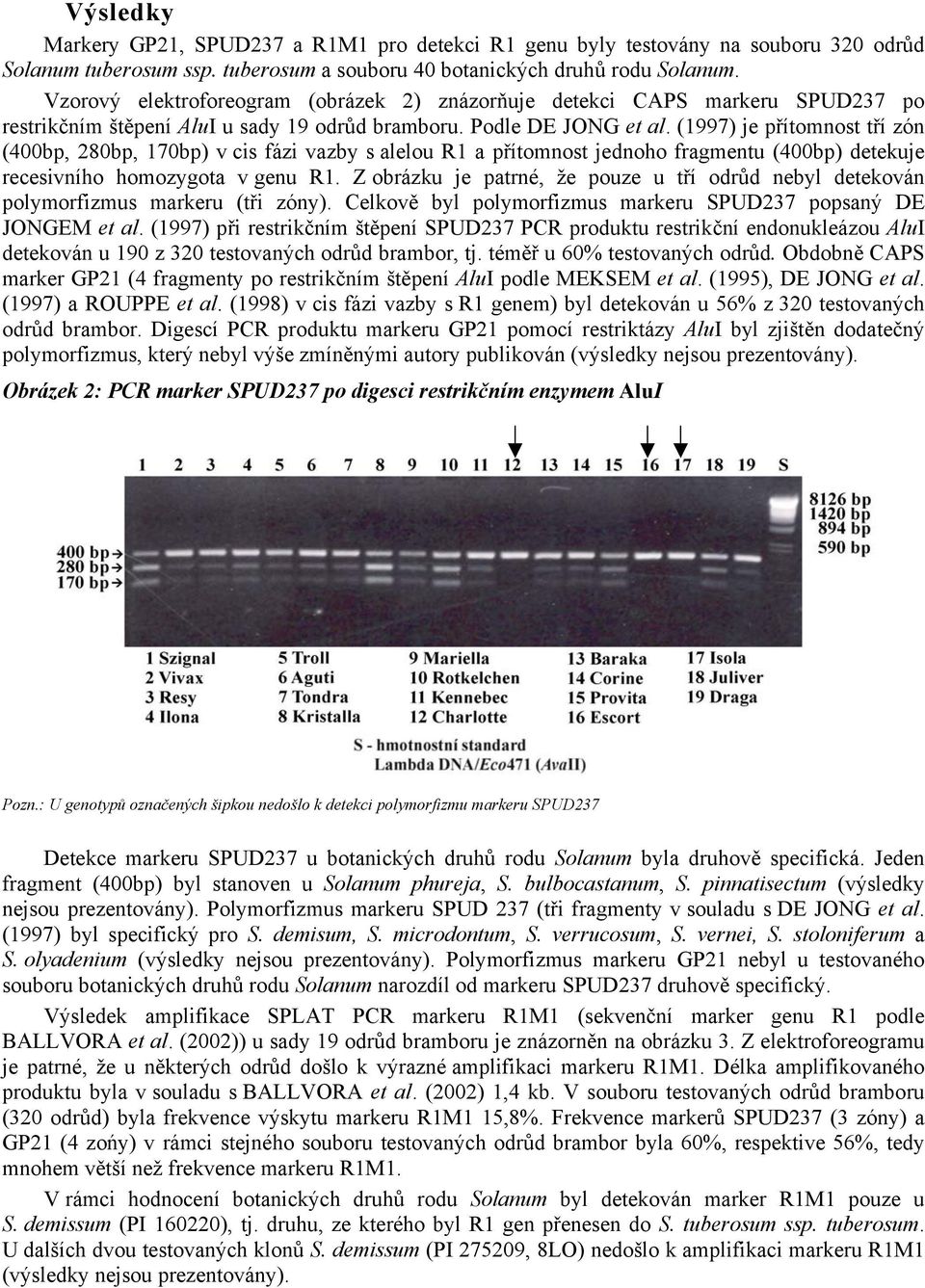 (1997) je přítomnost tří zón (400bp, 280bp, 170bp) v cis fázi vazby s alelou R1 a přítomnost jednoho fragmentu (400bp) detekuje recesivního homozygota v genu R1.