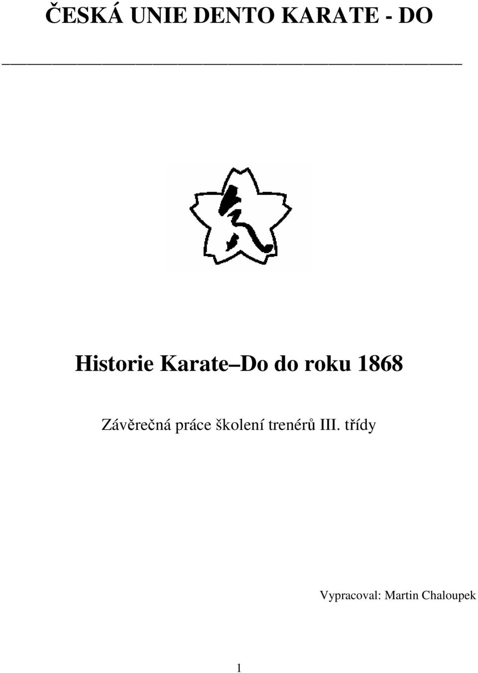 Závěrečná práce školení trenérů