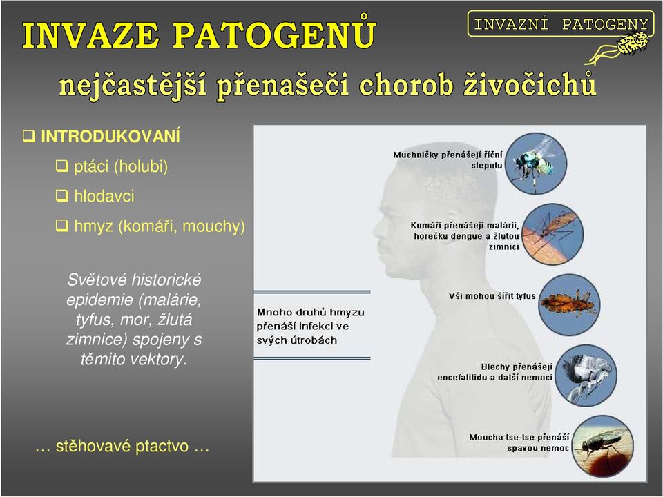 epidemie (malárie, tyfus, mor, žlutá