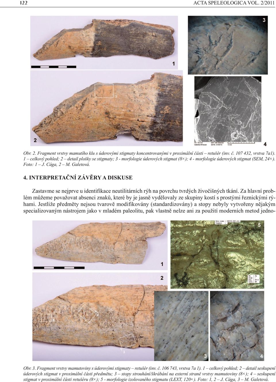 - morfologie úderových stigmat (SEM, 24 ). Foto: 1 J. Cága, 2 M. Galetová. 4. INTERPRETAČNÍ ZÁVĚRY A DISKUSE Zastavme se nejprve u identifikace neutilitárních rýh na povrchu tvrdých živočišných tkání.