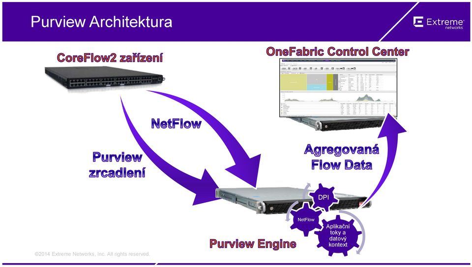 DPI NetFlow