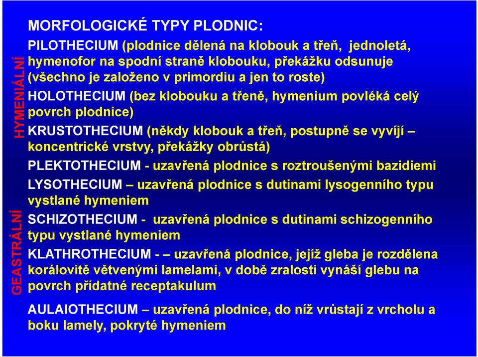 -uzavřená plodnice s roztroušenými bazidiemi LYSOTHECIUM uzavřená plodnice s dutinami lysogenního typu vystlané hymeniem SCHIZOTHECIUM - uzavřená plodnice s dutinami schizogenního typu vystlané