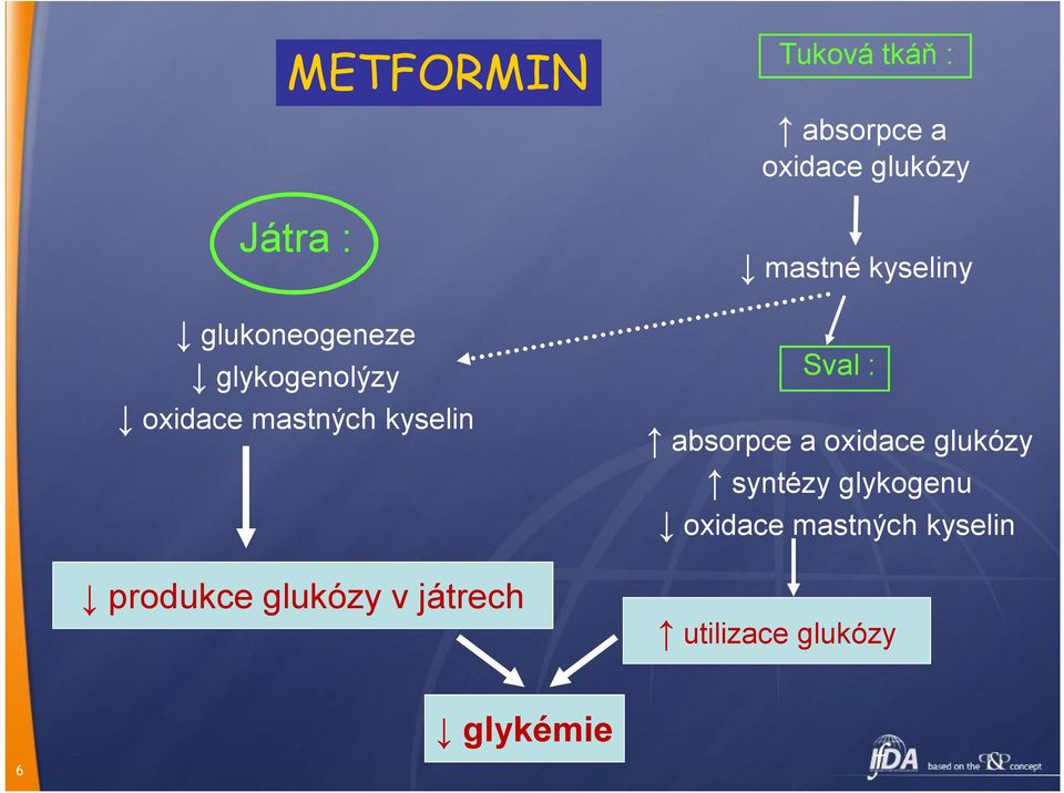 oxidace glukózy mastné kyseliny Sval : absorpce a oxidace glukózy