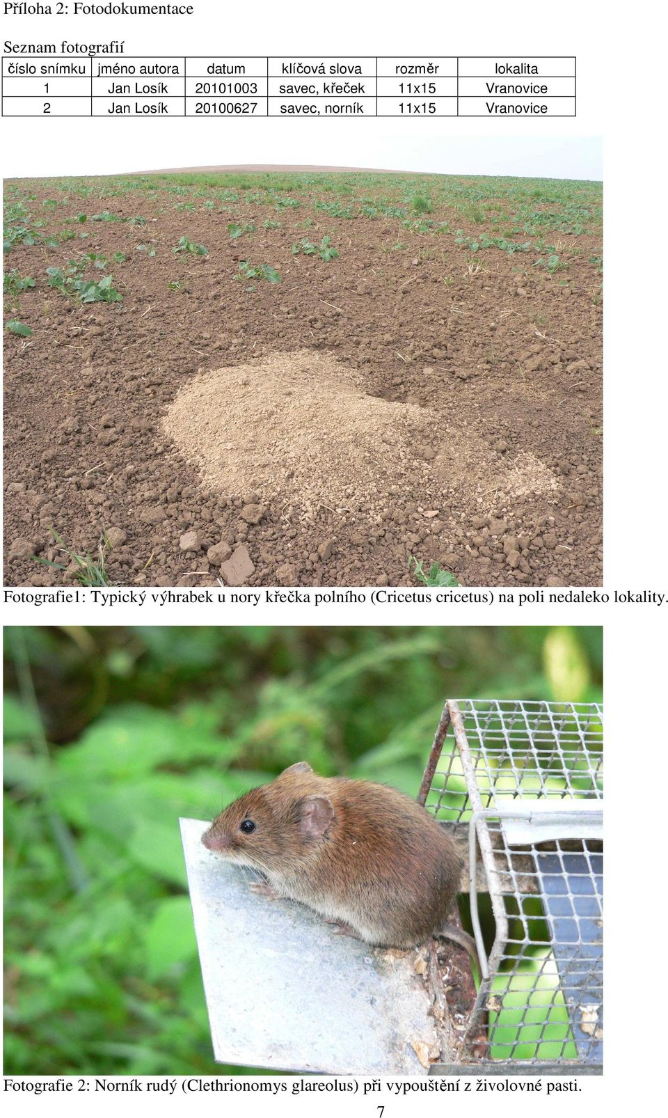 Vranovice Vranovice Fotografie1: Typický výhrabek u nory křečka polního (Cricetus cricetus) na