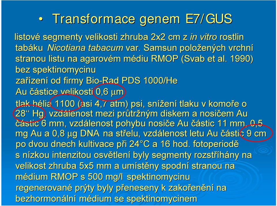 diskem a nosičem Au částic 6 mm, vzdálenost pohybu nosiče e Au částic 11 mm,,5 mg Au a,8 µg g DNA na střelu, vzdálenost letu Au částic 9 cm po dvou dnech kultivace při p i 4 C C a 16 hod.