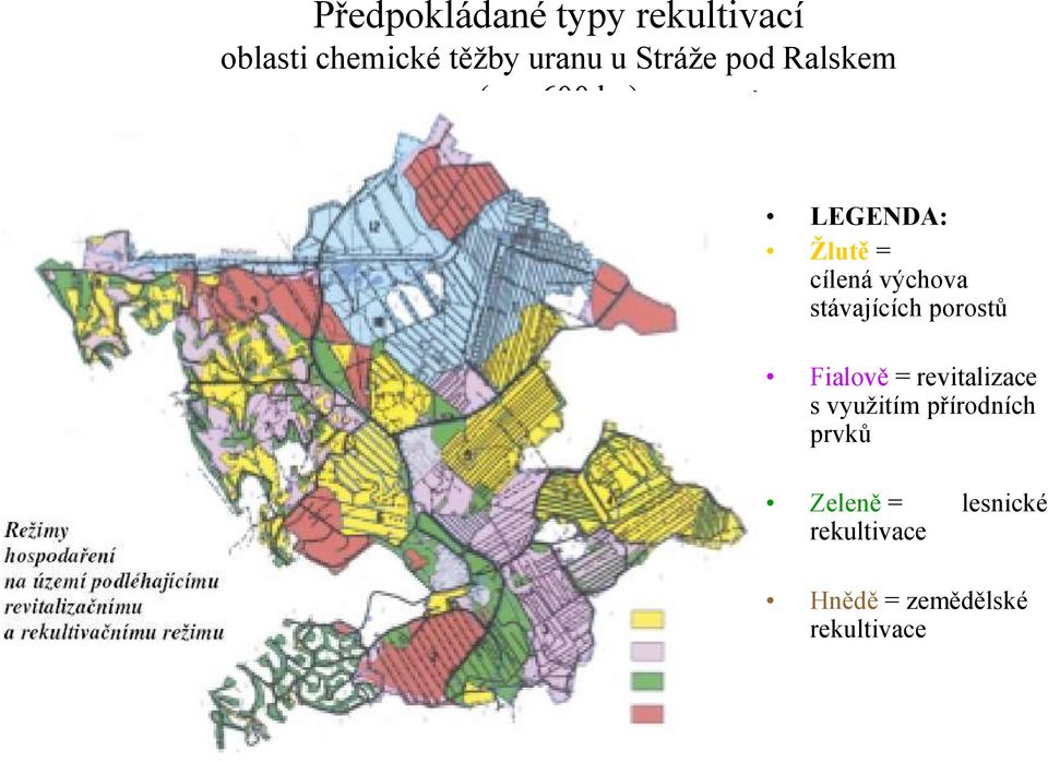 stávajících porostů Fialově = revitalizace s vyuţitím přírodních