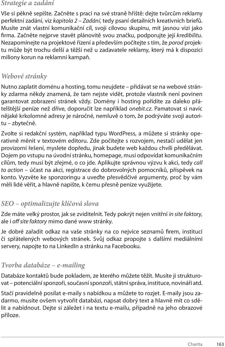 Nezapomínejte na projektové řízení a především počítejte s tím, že porod projektu může být trochu delší a těžší než u zadavatele reklamy, který má k dispozici miliony korun na reklamní kampaň.