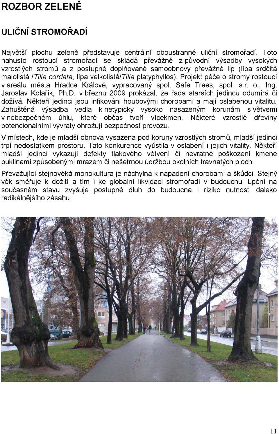 velkolistá/tilia platyphyllos). Projekt péče o stromy rostoucí v areálu města Hradce Králové, vypracovaný spol. Safe Trees, spol. s r. o., Ing. Jaroslav Kolařík, Ph.D.