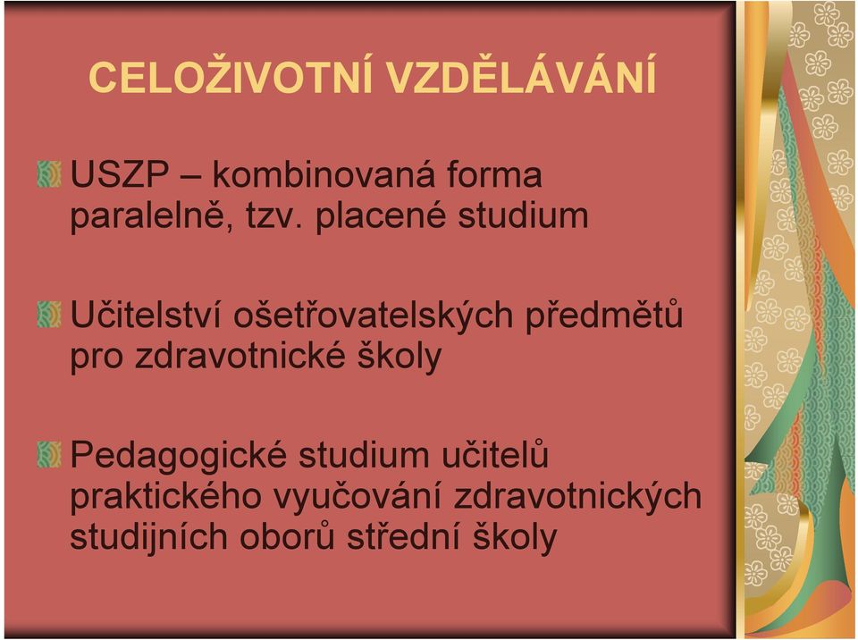 pro zdravotnické školy Pedagogické studium učitelů