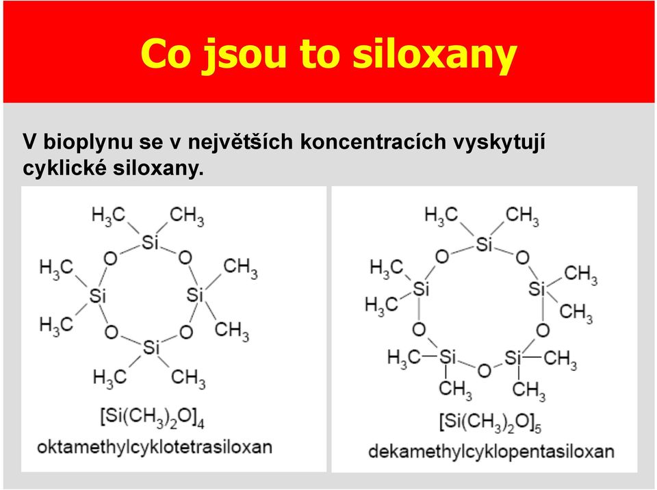 největších