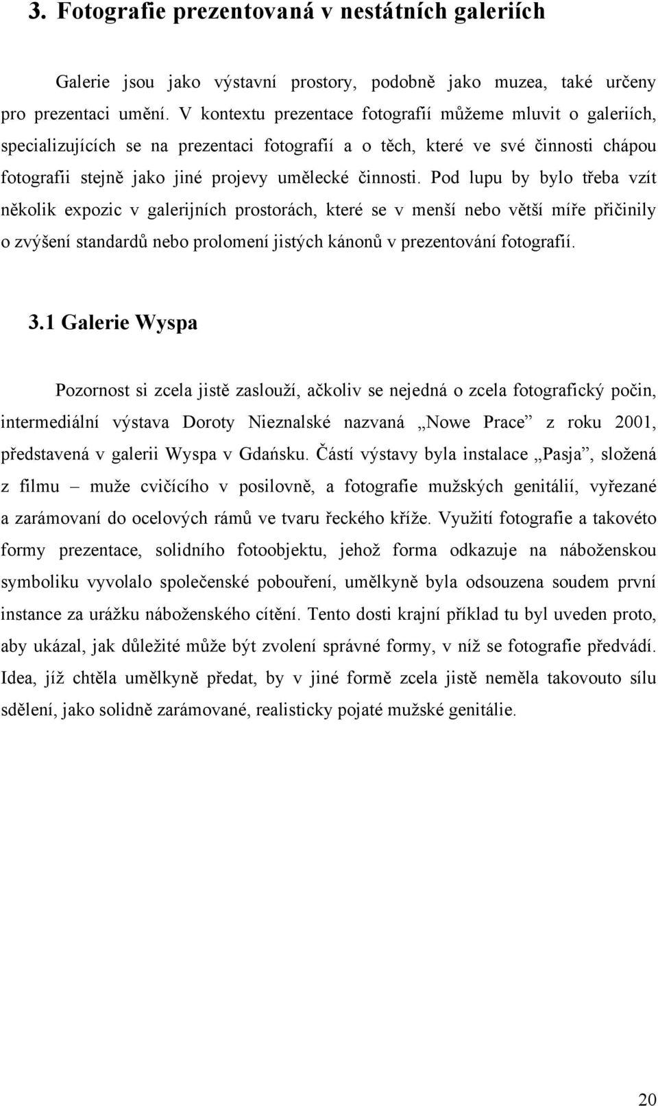 Pod lupu by bylo třeba vzít několik expozic v galerijních prostorách, které se v menší nebo větší míře přičinily o zvýšení standardů nebo prolomení jistých kánonů v prezentování fotografií. 3.