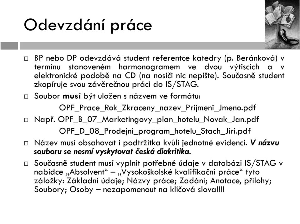 OPF_B_07_Marketingovy_plan_hotelu_Novak_Jan.pdf OPF_D_08_Prodejni_program_hotelu_Stach_Jiri.pdf Název musí obsahovat i podtržítka kvůli jednotné evidenci.