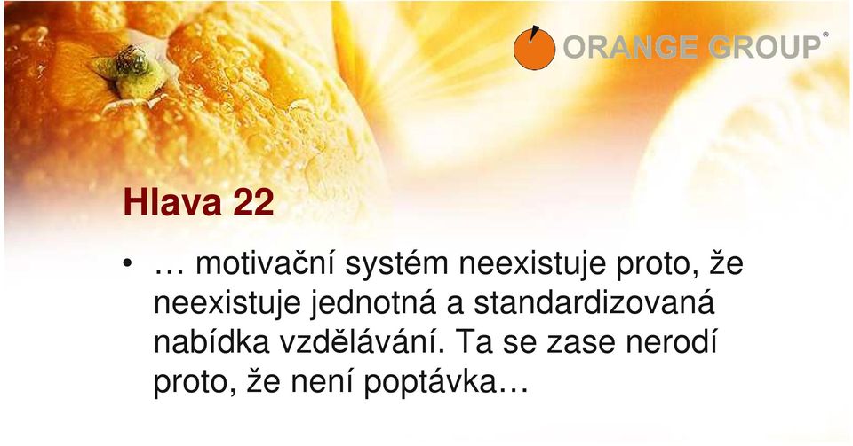 standardizovaná nabídka vzdělávání.