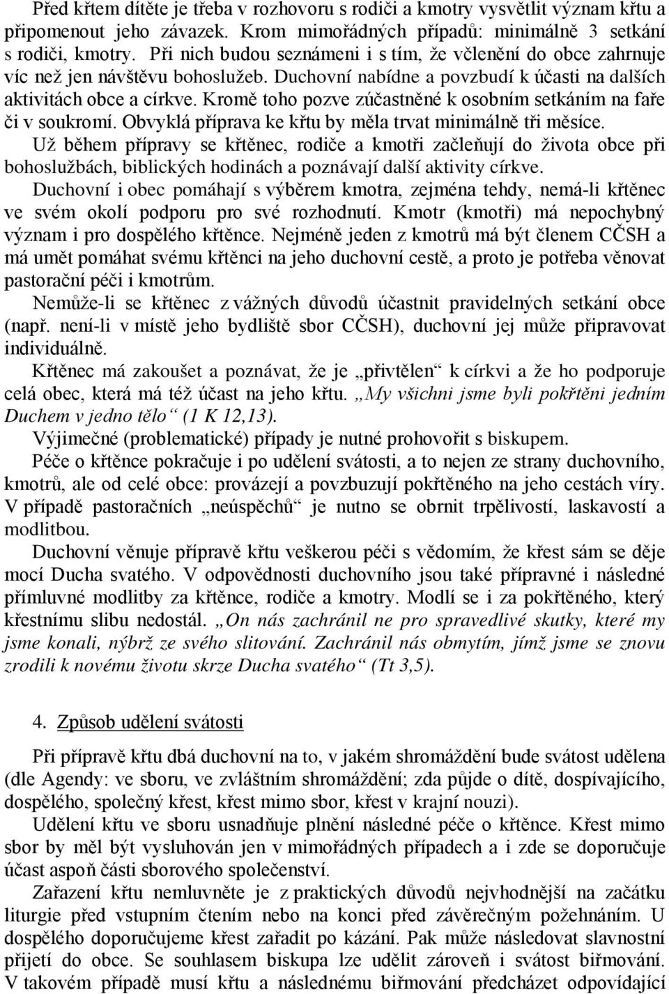 Kromě toho pozve zúčastněné k osobním setkáním na faře či v soukromí. Obvyklá příprava ke křtu by měla trvat minimálně tři měsíce.